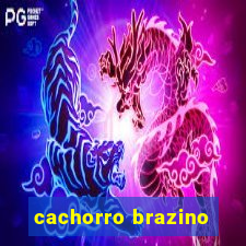 cachorro brazino